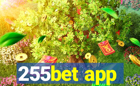 255bet app